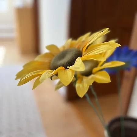 Villa Rosa Balatonalmádi