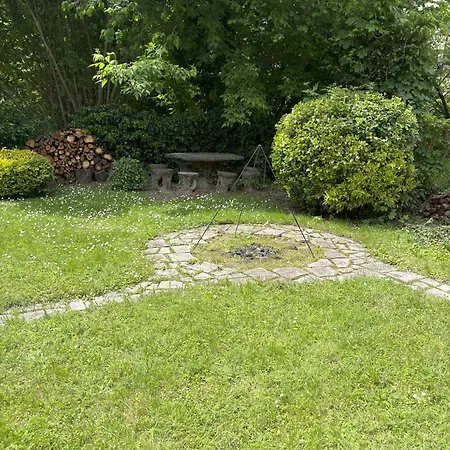 Rosa * Balatonalmádi