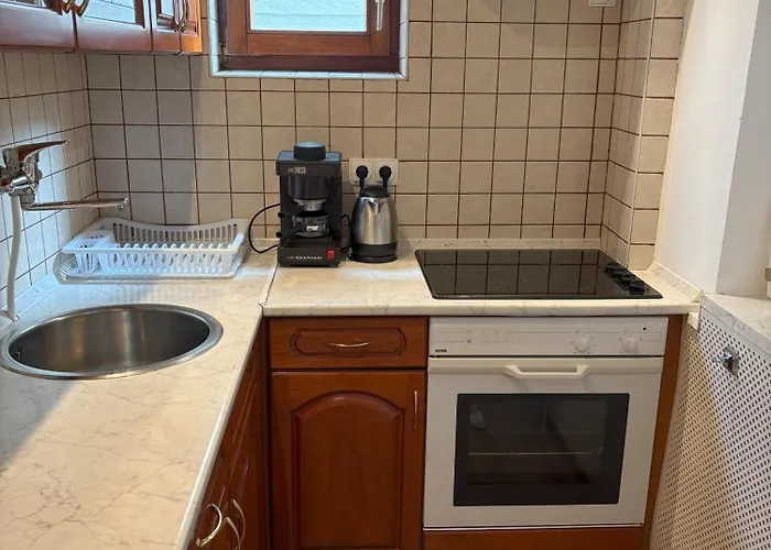 Rosa * Balatonalmádi