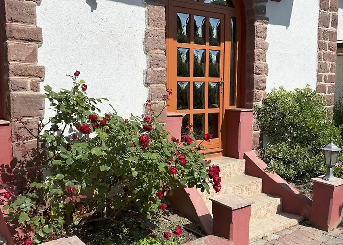 Rosa * Balatonalmádi